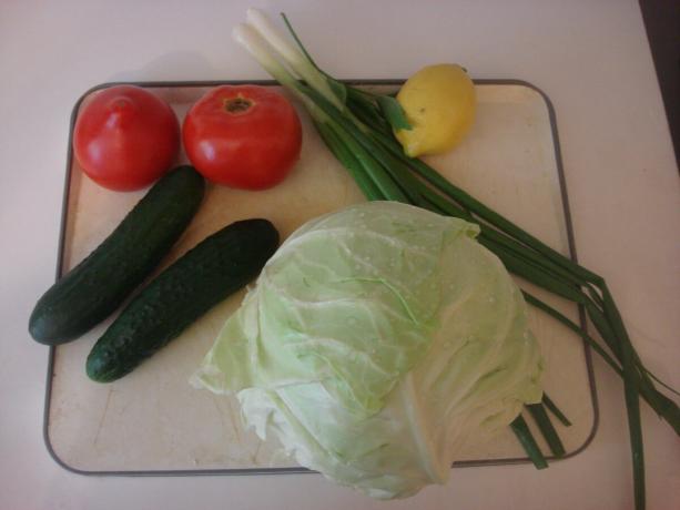 Picture taken by the author (the main ingredients of vegetable salad)