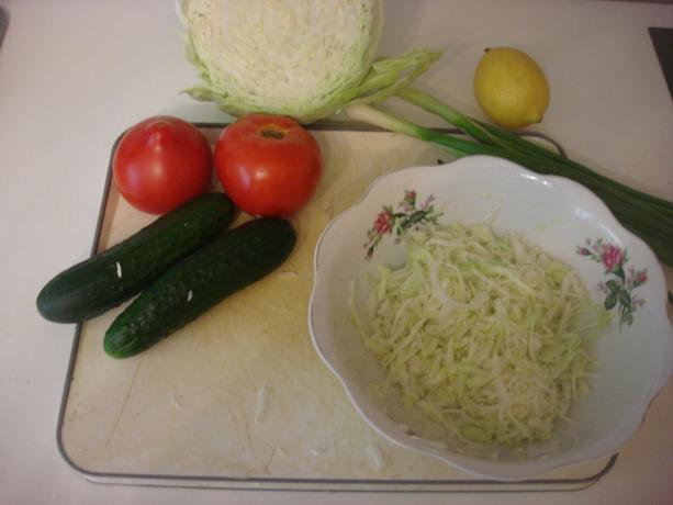 Picture taken by the author (shredded cabbage) 