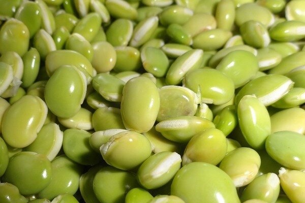 The use of such peas is fraught with a minimum of poisoning (Photo: Pixabay.com)